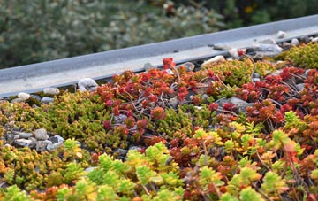 the cost of Hareby green roof installation