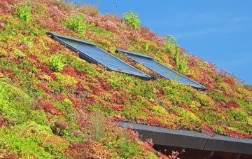 Hareby living roof systems